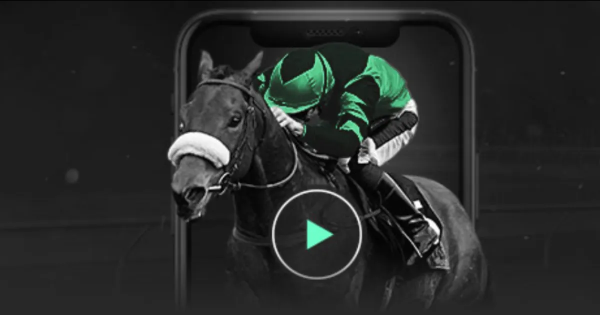 阿根廷双星,重逢在即,年等待后,乐鱼体育官网,乐鱼体育品牌,乐鱼体育精彩,乐鱼体育