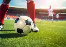 塔雷米,五个月伤病,困扰,乐鱼体育官网,乐鱼体育品牌,乐鱼体育精彩,乐鱼体育