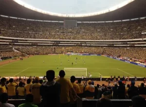 萊斯特城官,方公告,羅傑斯遭解,乐鱼体育官网,乐鱼体育品牌,乐鱼体育精彩,乐鱼体育