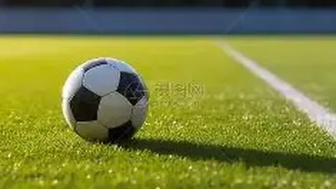 网坛旧冠各显神通：梅德韦杰夫顺利挺进，安贝尔遗憾告别